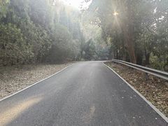 -平湖九龙山旅游度假区