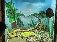 -石家庄市动物园