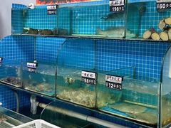 -兆辉木炭海鲜烧烤·海鲜小炒