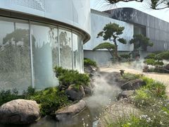 -罗红摄影艺术馆