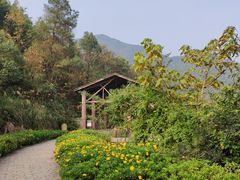 -远山有窑
