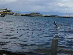 -青海湖二郎剑景区