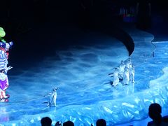 -珠海横琴长隆《卡卡虎奇遇记》