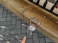 -鲁邦国际风情街(麦世达韩国精品百货店)