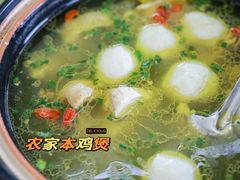 -宾湖农庄·农场特色(太湖龙之梦店)