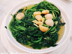 上湯西洋菜-美居大酒楼(美居广场店)