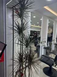 -HaLo hair studio
