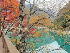 -叠溪松坪沟景区