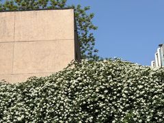 -四川大学(望江校区)