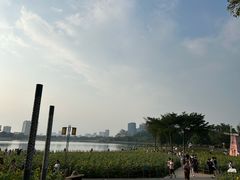 -顺峰山公园
