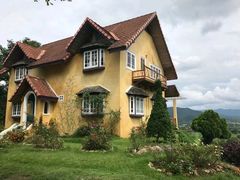 -黄色小屋