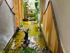 -邈墨茶馆(凤起路店)