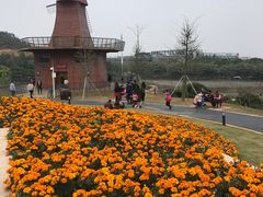 -东莞植物园