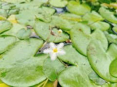 -广州神农草堂中医药博物馆