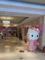 -北京俪婴妇产医院(朝阳大悦城店)