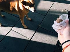 -金盆阿嬷香菇茶叶蛋(玄光店)