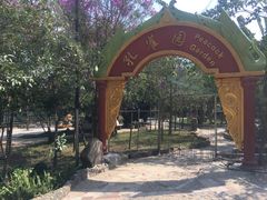 -瑞丽独树成林风景区