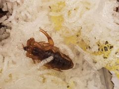 -云腾食府·云南菜