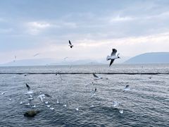 -大理洱海