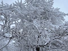 -瓦屋山景区