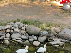 -HERRE·FARM 赫尔露营农场·团建聚会包场