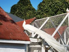 -金庭庄园酒店-停车场