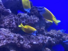 -石家庄海洋公园