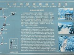 -大岭沟猕猴桃谷风景区
