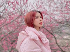 -新建村梅花