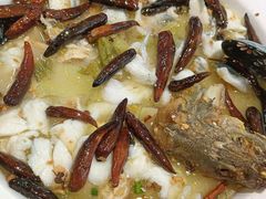 -宋小谨(惠安禹洲店)