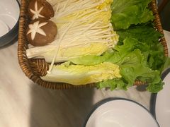 -同仁四季椰子鸡(福田东园总店)