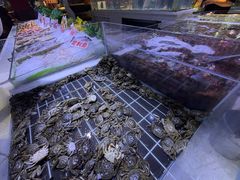 -聚盛源蒸汽海鲜火锅烤肉自助(巨川金海岸购物广场店)