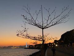 -深圳湾公园(南山区)