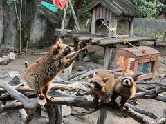 -宁波野生动物园