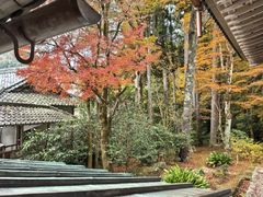 -三千院