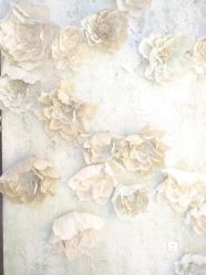 点击看大图 -星豆豆儿童摄影(南郊太白南路店)