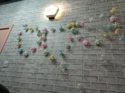 -doladola(徐家汇店)