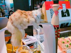 -咖法森林·咖啡  酒吧(天河店)