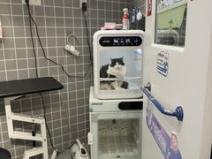 -它主义宠物(梁溪万达店)