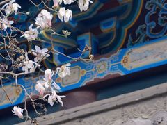 -碑林公园
