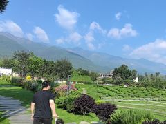 -云禾壹海景庄园餐厅