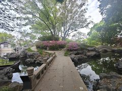 -常熟方塔园