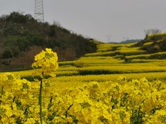 -牛街螺丝田