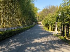 -天目湖涵田半山温泉