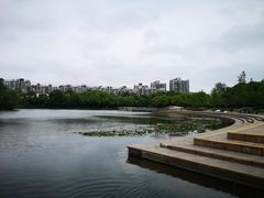-新江湾城公园