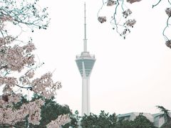 -成都市活水公园