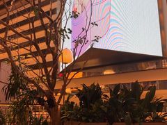 -桂满陇·海市蜃楼·黑金(国金店)