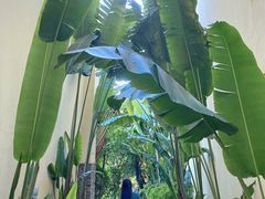 -西双版纳融创皇冠假日度假酒店