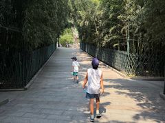 -红螺寺