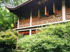 -十八棵（老龙井）御茶园(老龙井店)